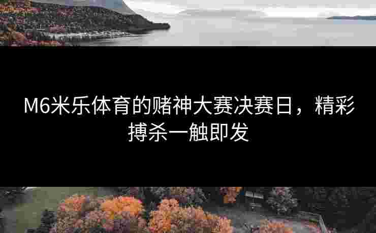 M6米乐体育的赌神大赛决赛日，精彩搏杀一触即发