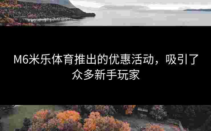 M6米乐体育推出的优惠活动，吸引了众多新手玩家