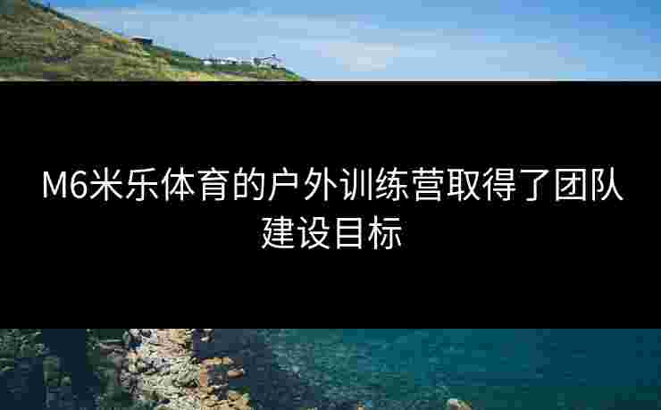 M6米乐体育的户外训练营取得了团队建设目标