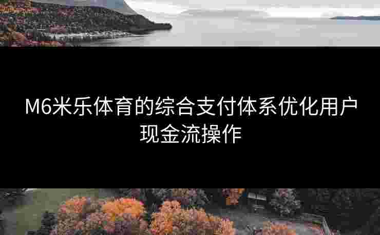 M6米乐体育的综合支付体系优化用户现金流操作