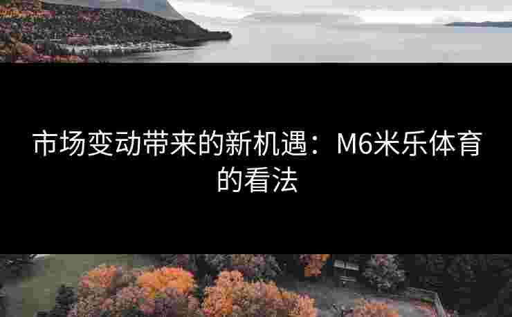 市场变动带来的新机遇：M6米乐体育的看法