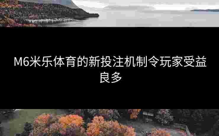 M6米乐体育的新投注机制令玩家受益良多