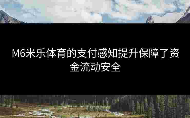 M6米乐体育的支付感知提升保障了资金流动安全