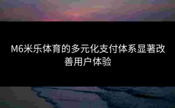 M6米乐体育的多元化支付体系显著改善用户体验